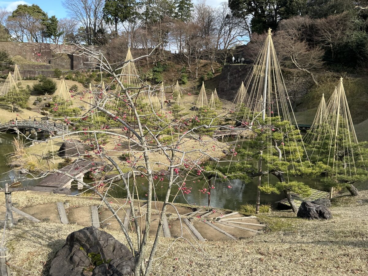 豊田歯科クリニック | 兼六園の冬景色