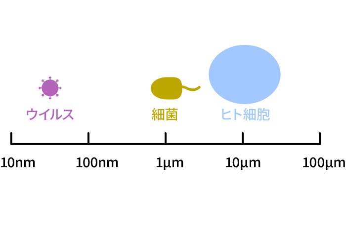 豊田歯科クリニック | 細菌とウイルスの違いと感染症予防