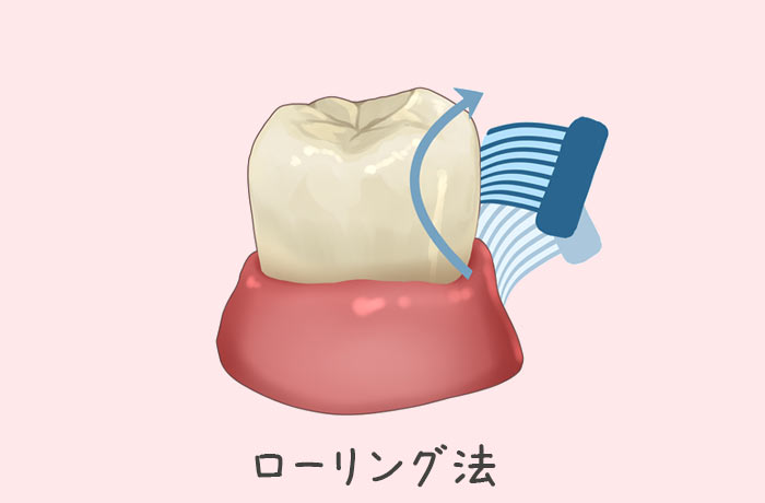 せっかくやるなら「効果的な⻭磨き」 ローリング法の図解